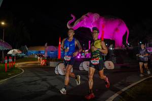 BIB: 
                            <button type="button" onclick="openModal(26552081)" class="btn btn-primary btn-sm float-right btn-popup" data-toggle="modal" data-target=".modal-high-quality">
                        <i class="fas fa-shopping-cart"></i> Add to Cart
                    </button>
                                            <button type="button" onclick="isThisMe(26552081, true)" class="btn btn-success btn-sm float-right btn-popup btn-isme hidden" data-toggle="tooltip" data-placement="bottom" title="นี่คือรูปของคุณใช่ไหม คลิกที่นี่เพื่อเอาเข้าอัลบั้ม">
                        <i class="fas fa-plus"></i> Add to album
                    </button>
                    <button type="button" onclick="isThisMe(26552081, false)" class="btn btn-warning btn-sm float-right btn-popup btn-isnotme hidden">
                        <i class="fas fa-ban"></i> Remove from album
                    </button>